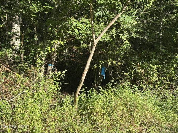 5054 Chinook Lane, Crossville, TN 38572