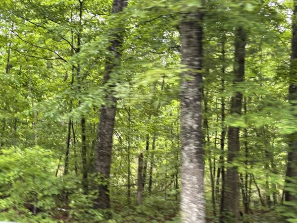 5002 Crazy Horse Drive, Crossville, TN 38572