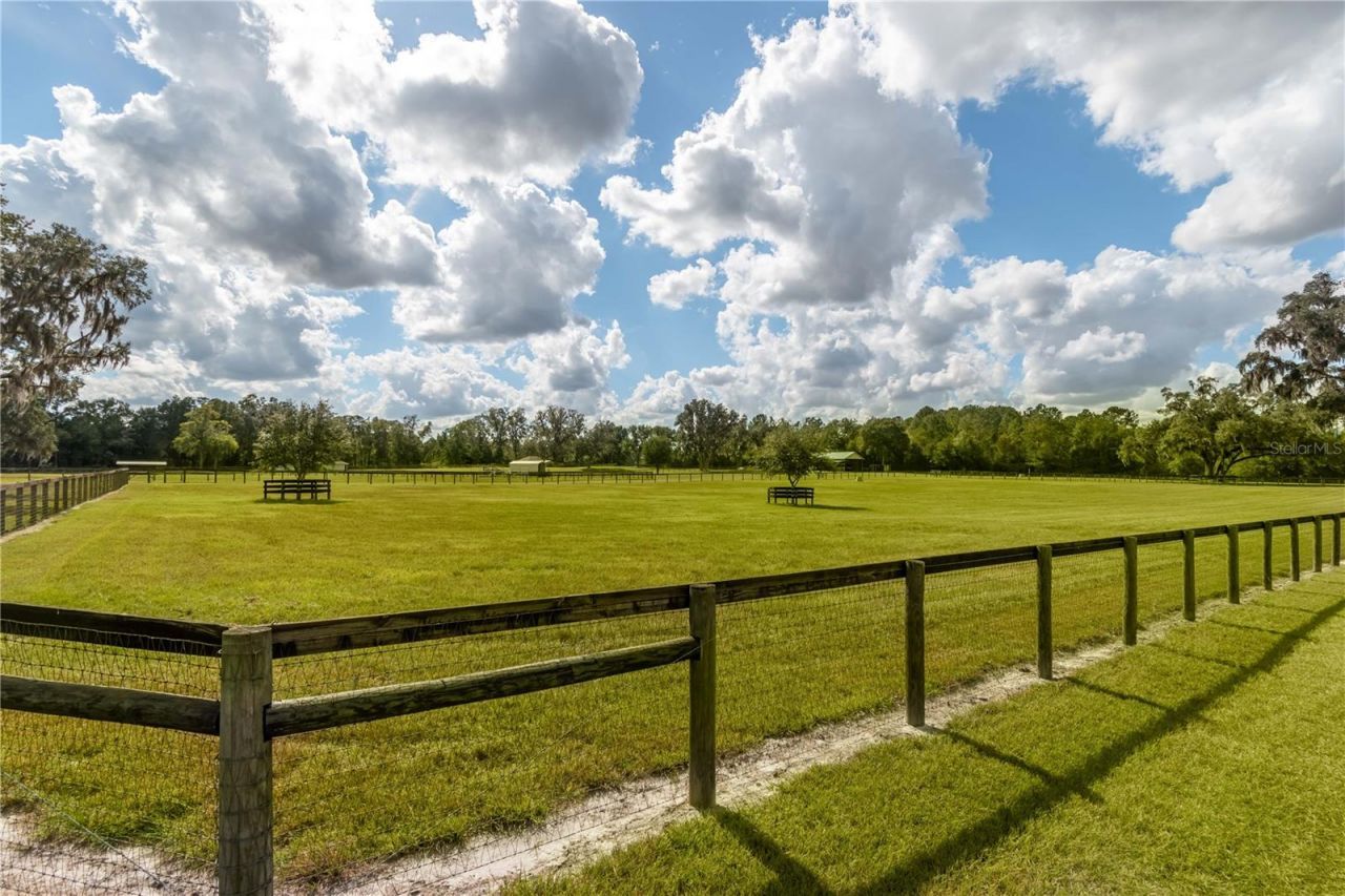 6140 NW 145th Avenue Road, Morriston, FL 32668 Photo