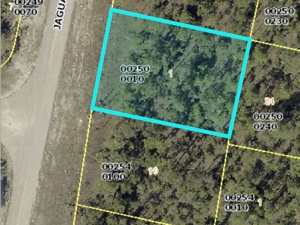 436 JAGUAR BOULEVARD, LEHIGH ACRES, FL 33974