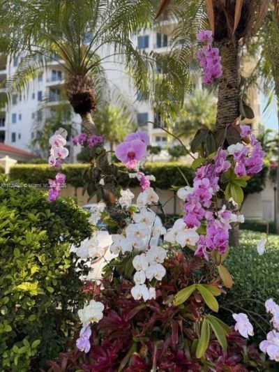 13621 Deering Bay Dr, Unit 502, Coral Gables, FL 33158 Photo