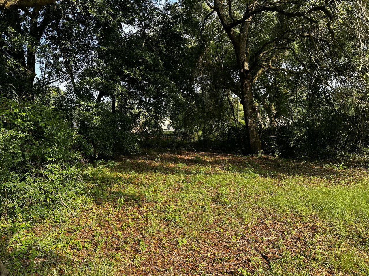 2168 Gaillard Lane Photo 6