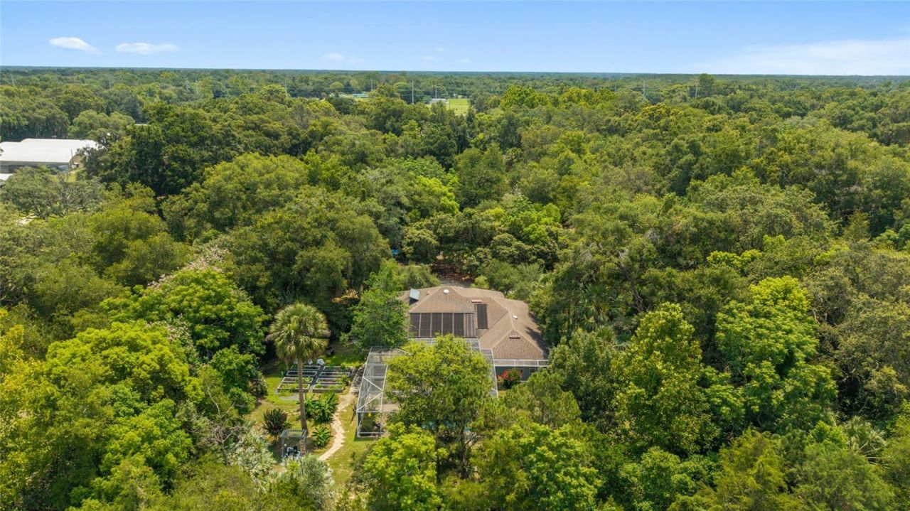 32511 County Road 437, Sorrento, FL 32776 Photo