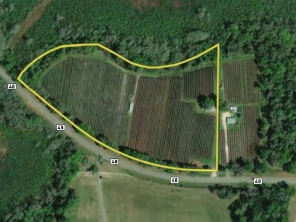 9333 E BUSHNELL ROAD, FLORAL CITY, FL 34436