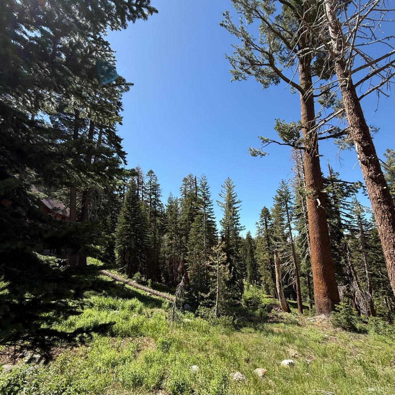 34011 Danburg Drive, Kirkwood, CA 95646 Photo