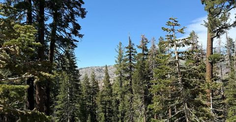 34011 Danburg Drive, Kirkwood, CA 95646 Photo