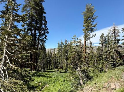 34011 Danburg Drive, Kirkwood, CA 95646 Photo