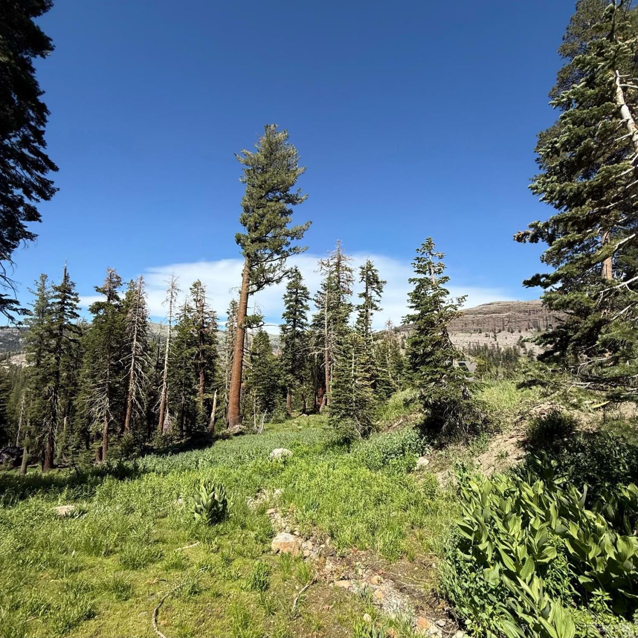 34011 Danburg Drive, Kirkwood, CA 95646 Photo