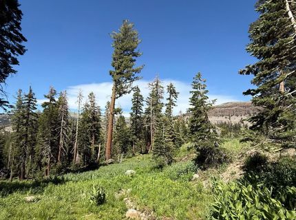 34011 Danburg Drive, Kirkwood, CA 95646 Photo