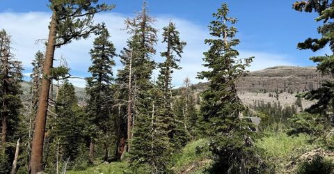 34011 Danburg Drive, Kirkwood, CA 95646 Photo