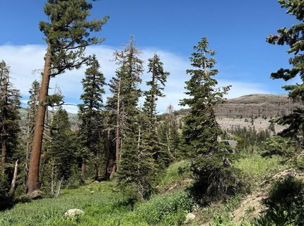 34011 Danburg Drive, Kirkwood, CA 95646 Photo