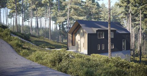 34011 Danburg Drive, Kirkwood, CA 95646 Photo