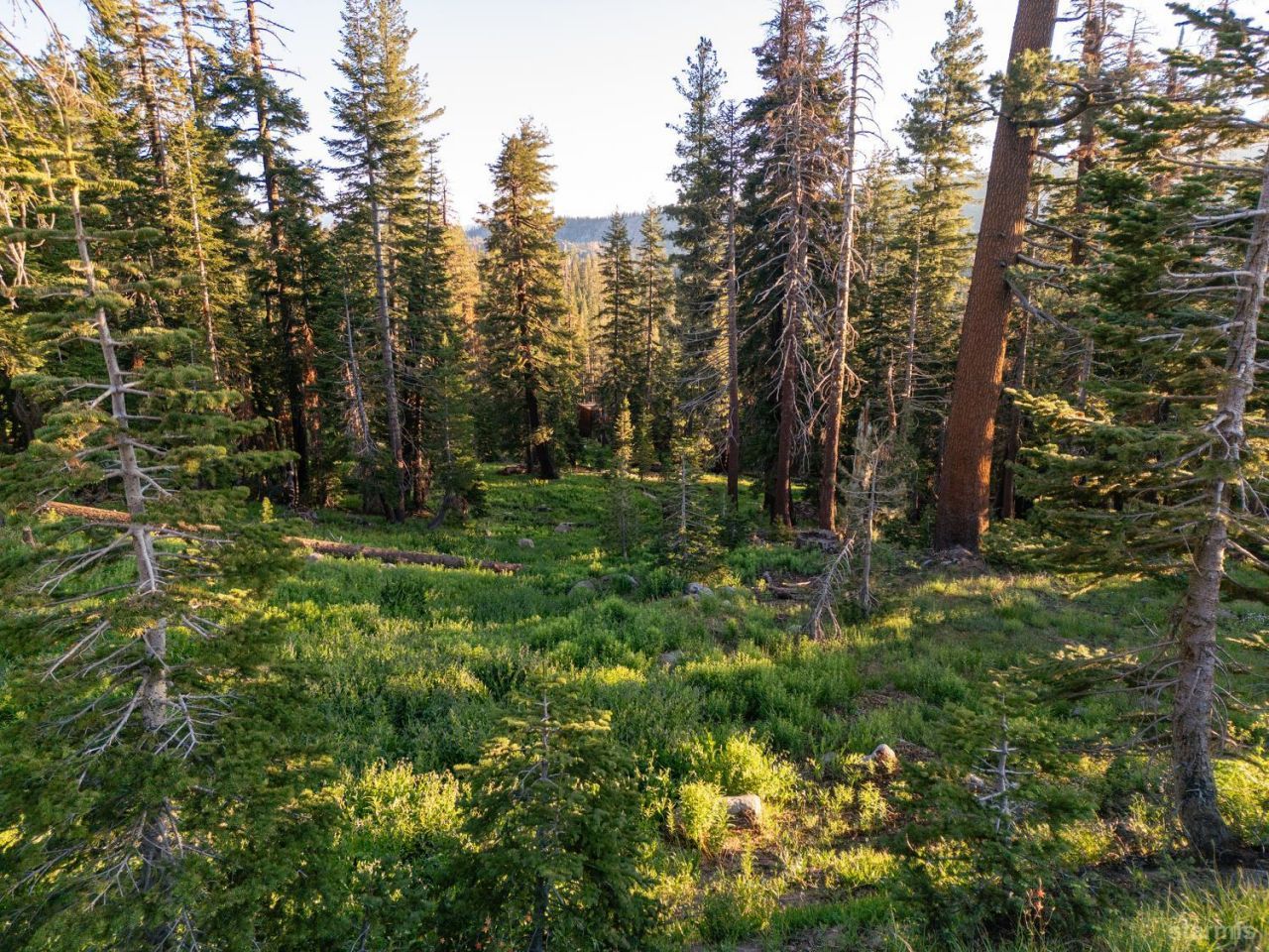 34011 Danburg Drive, Kirkwood, CA 95646 Photo