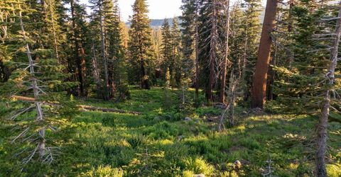 34011 Danburg Drive, Kirkwood, CA 95646 Photo