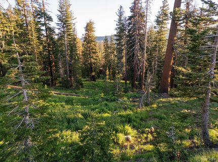 34011 Danburg Drive, Kirkwood, CA 95646 Photo