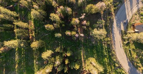 34011 Danburg Drive, Kirkwood, CA 95646 Photo