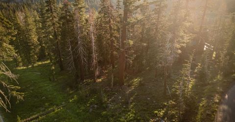 34011-#50 Danburg Dr, Kirkwood, CA 95645 Photo