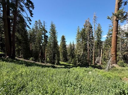 34011-#50 Danburg Dr, Kirkwood, CA 95645 Photo