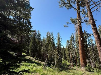 34011-#50 Danburg Dr, Kirkwood, CA 95645 Photo