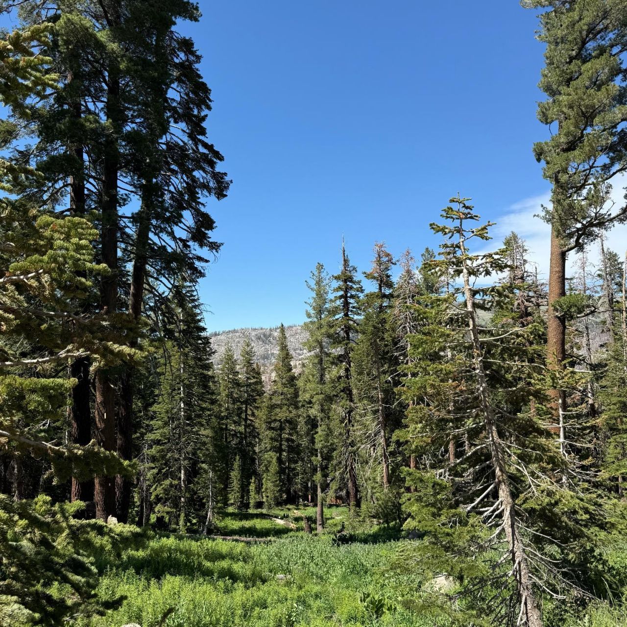 34011-#50 Danburg Dr, Kirkwood, CA 95645 Photo