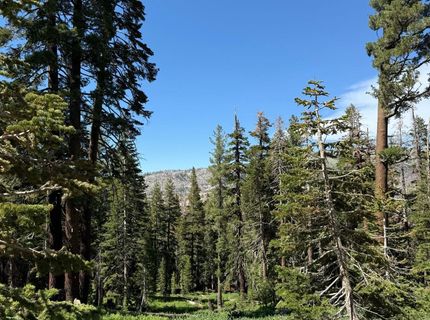 34011-#50 Danburg Dr, Kirkwood, CA 95645 Photo