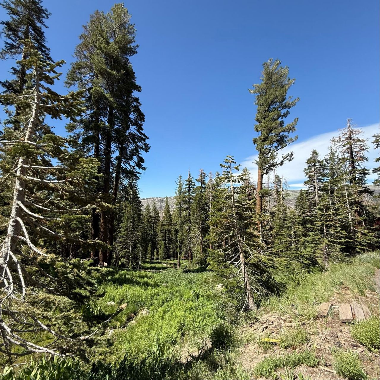 34011-#50 Danburg Dr, Kirkwood, CA 95645 Photo