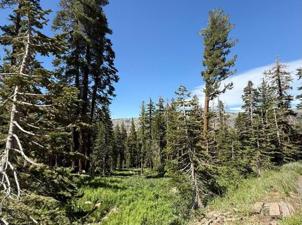 34011-#50 Danburg Dr, Kirkwood, CA 95645 Photo