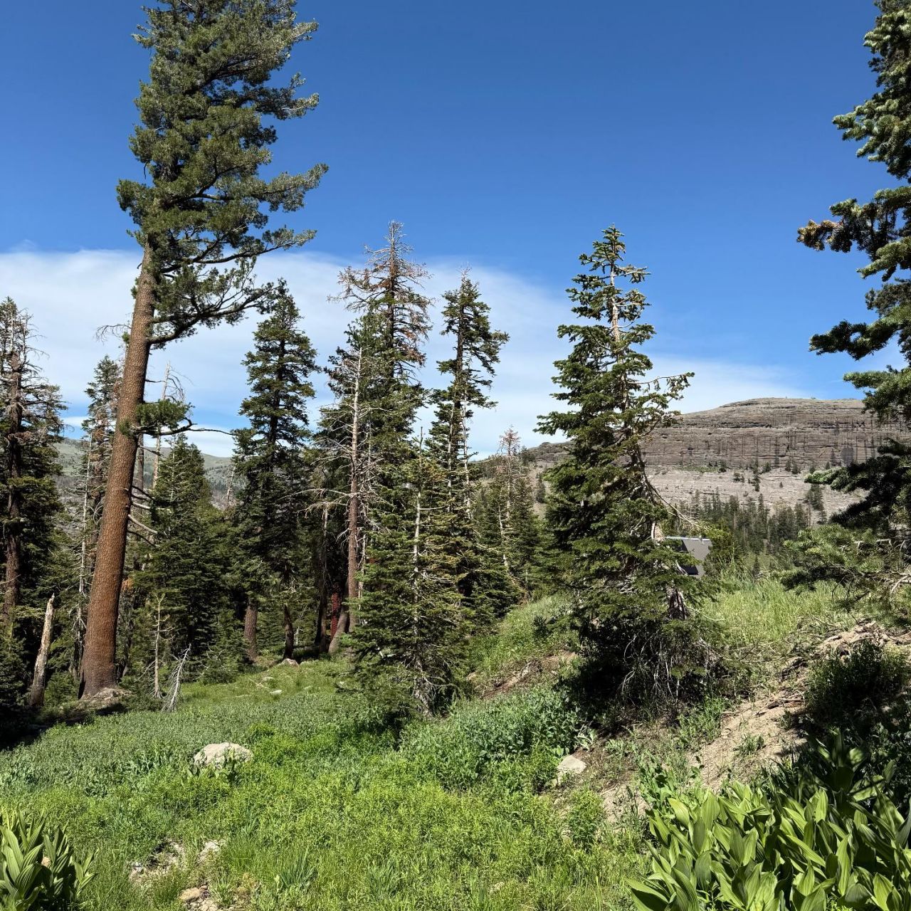 34011-#50 Danburg Dr, Kirkwood, CA 95645 Photo