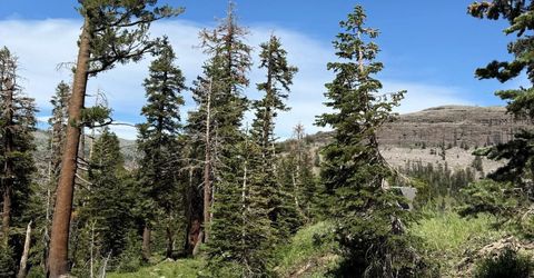 34011-#50 Danburg Dr, Kirkwood, CA 95645 Photo