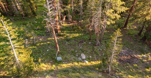 34011-#50 Danburg Dr, Kirkwood, CA 95645 Photo