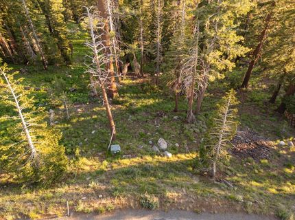 34011-#50 Danburg Dr, Kirkwood, CA 95645 Photo