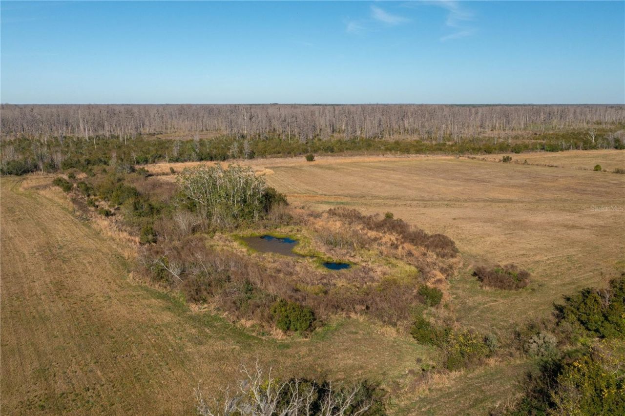 601 Diamond Acres Road, Davenport, FL 33837 Photo