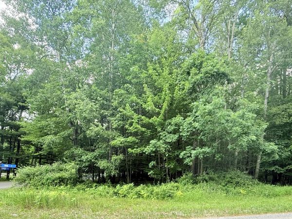 9760 Main Street, Canadian Lakes, MI 49346