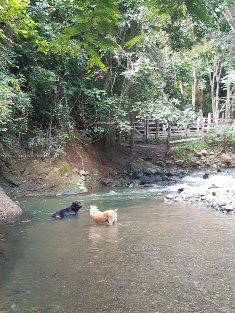 25 B Vereda La Higinia, Santa Fe De Antioquia, Col, , An 05541 Photo