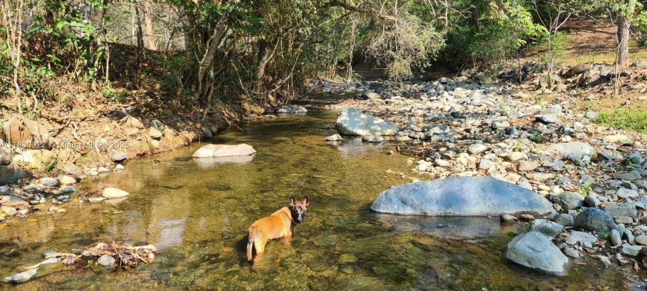 25 B Vereda La Higinia, Santa Fe De Antioquia, Col, , An 05541 Photo