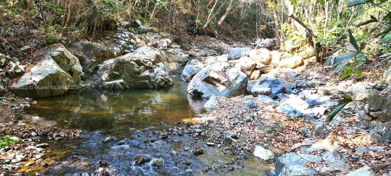 25 B Vereda La Higinia, Santa Fe De Antioquia, Col, , An 05541 Photo