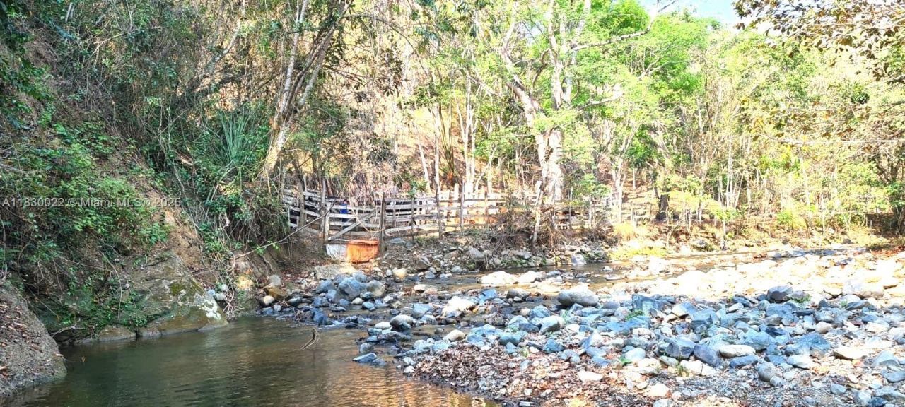 25 B Vereda La Higinia, Santa Fe De Antioquia, Col, , An 05541 Photo