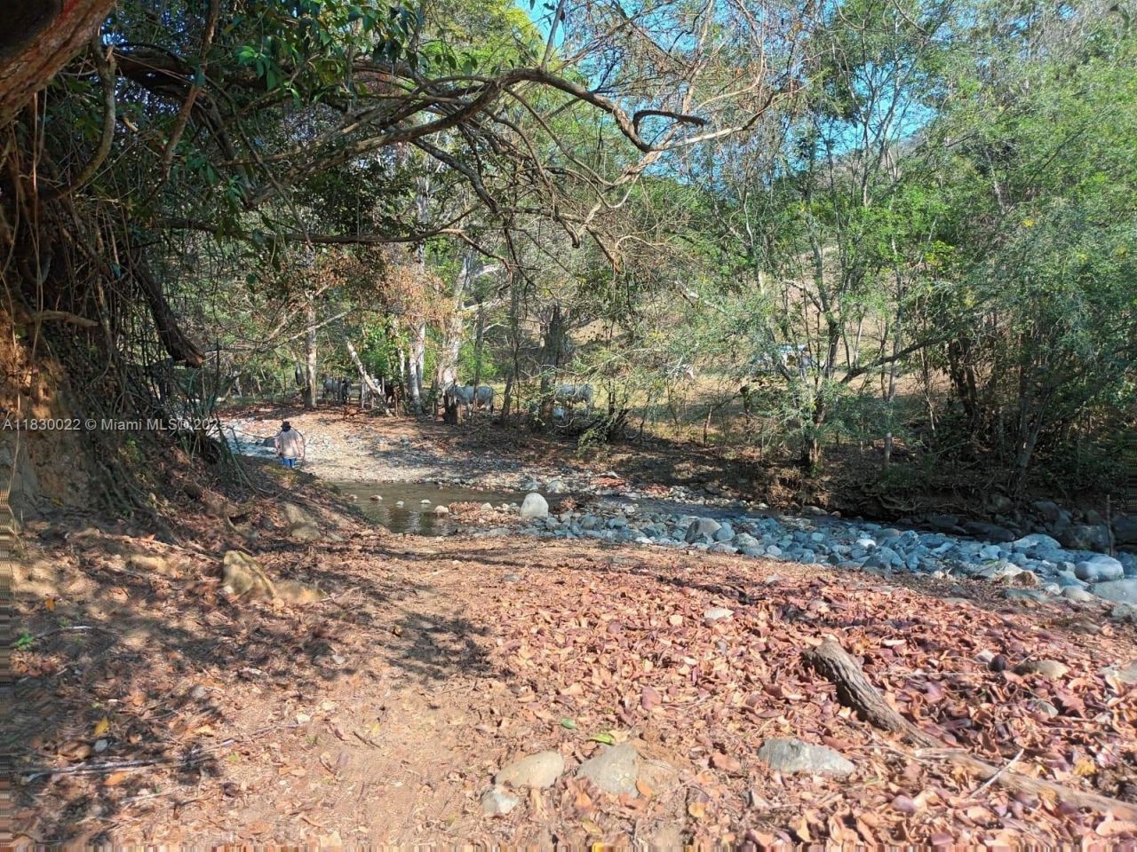 25 B Vereda La Higinia, Santa Fe De Antioquia, Col, , An 05541 Photo