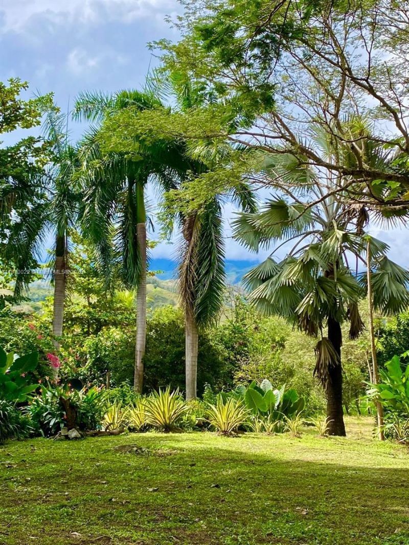 25 B Vereda La Higinia, Santa Fe De Antioquia, Col, , An 05541 Photo