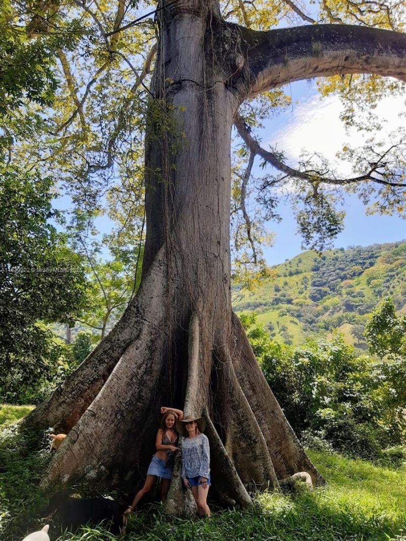 25 B Vereda La Higinia, Santa Fe De Antioquia, Col, , An 05541 Photo