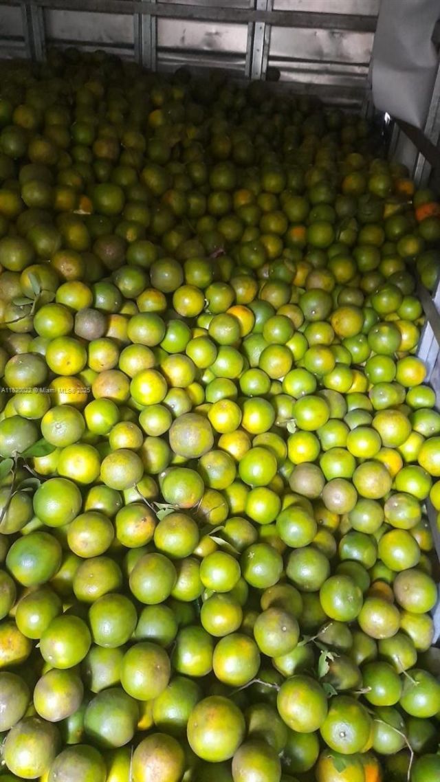 25 B Vereda La Higinia, Santa Fe De Antioquia, Col, , An 05541 Photo