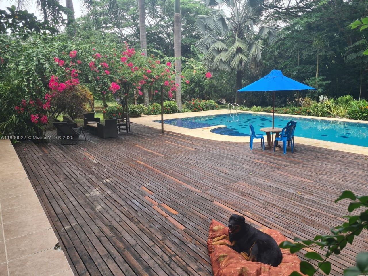 25 B Vereda La Higinia, Santa Fe De Antioquia, Col, , An 05541 Photo