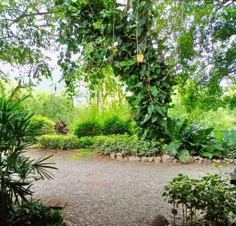 25 B Vereda La Higinia, Santa Fe De Antioquia, Col, , An 05541 Photo