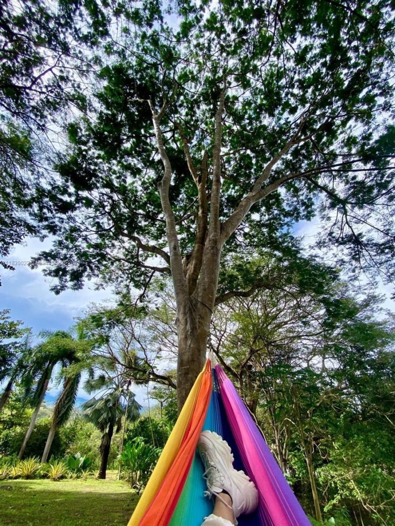 25 B Vereda La Higinia, Santa Fe De Antioquia, Col, , An 05541 Photo