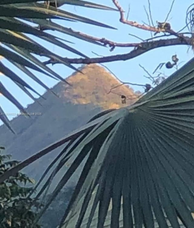 25 B Vereda La Higinia, Santa Fe De Antioquia, Col, , An 05541 Photo