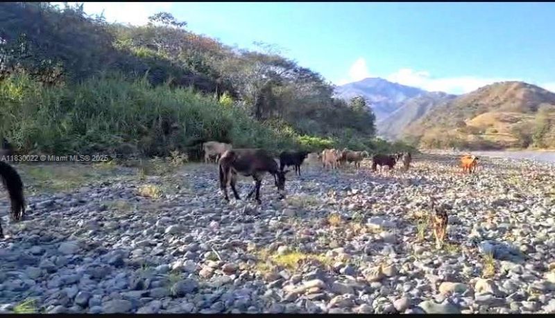 25 B Vereda La Higinia, Santa Fe De Antioquia, Col, , An 05541 Photo