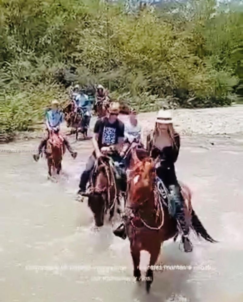 25 B Vereda La Higinia, Santa Fe De Antioquia, Col, , An 05541 Photo