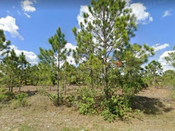 1129 BRIARCLIFFE STREET, FORT MYERS, FL 33913