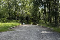 485 Corner Lake Road photo 4