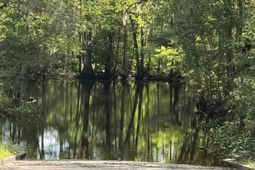 485 Corner Lake Road photo 4